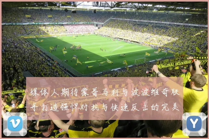 媒体人期待蒙哥马利与波波维奇联手打造强悍对抗与快速反击的完美结合