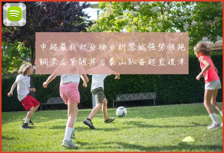 中超最新积分榜分析蓉城强势领跑铜梁龙紧随其后泰山队奋起直追津门虎仍需努力